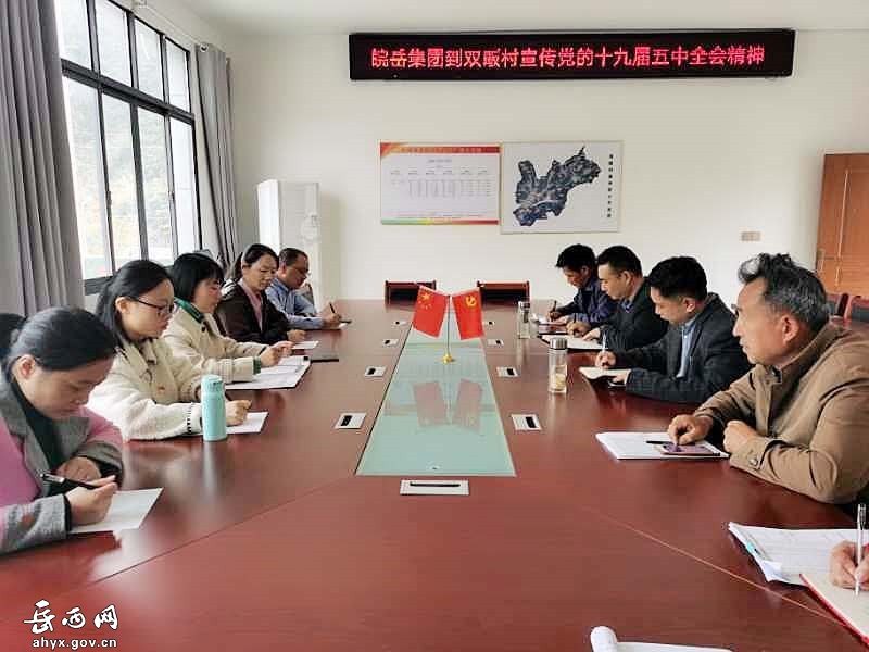 皖岳集团到双畈村开展脱贫攻坚走访帮扶活动