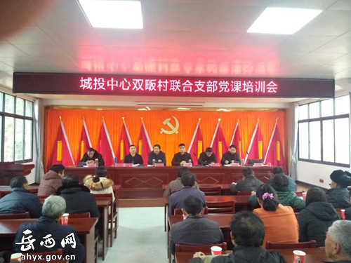 储节伟到双畈村上扶贫党课