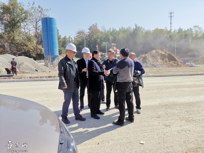 吴卫国深入项目工地检查指导工作