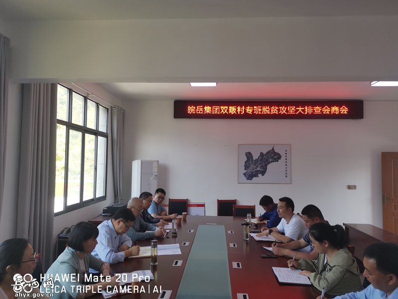皖岳集团到双畈村开展巩固脱贫攻坚成果大排查