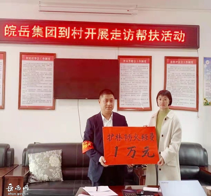 皖岳集团到菖蒲村开展脱贫攻坚成果大走访活动