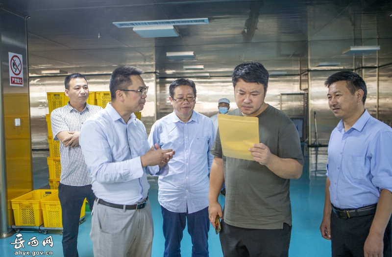 中国农科院作科所来皖岳集团调研指导工作