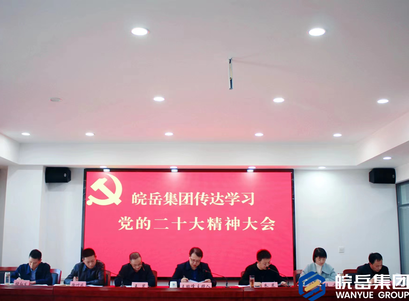 皖岳集团召开传达学习党的二十大精神大会