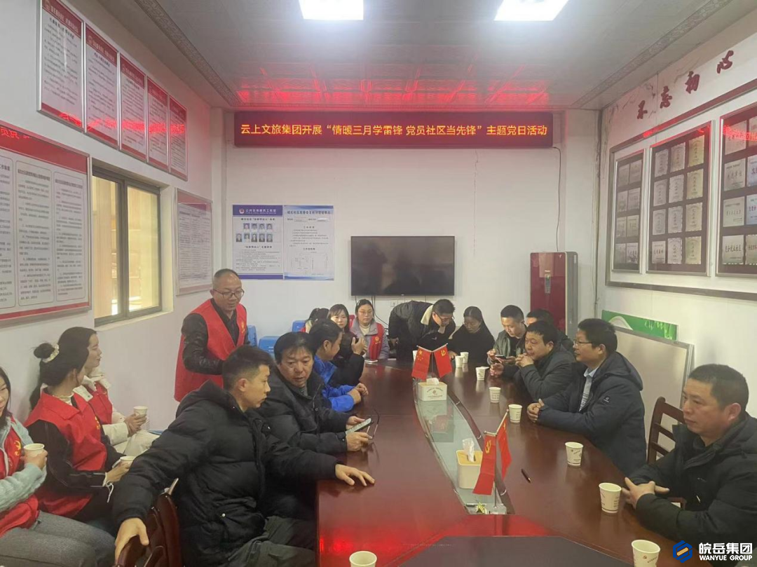 情暖三月学雷锋 文旅党员当先锋