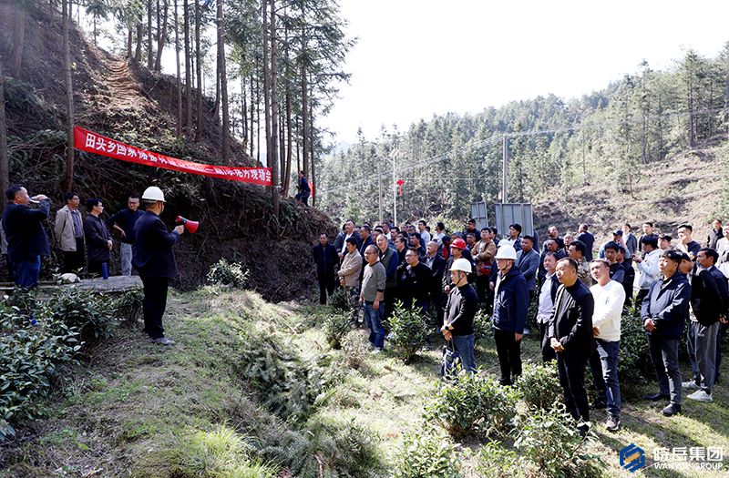 岳西县国家储备林建设示范片现场会在田头乡举行